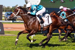 Mo'unga untouched over the line in the Listed Dulcify Quality (1500m).